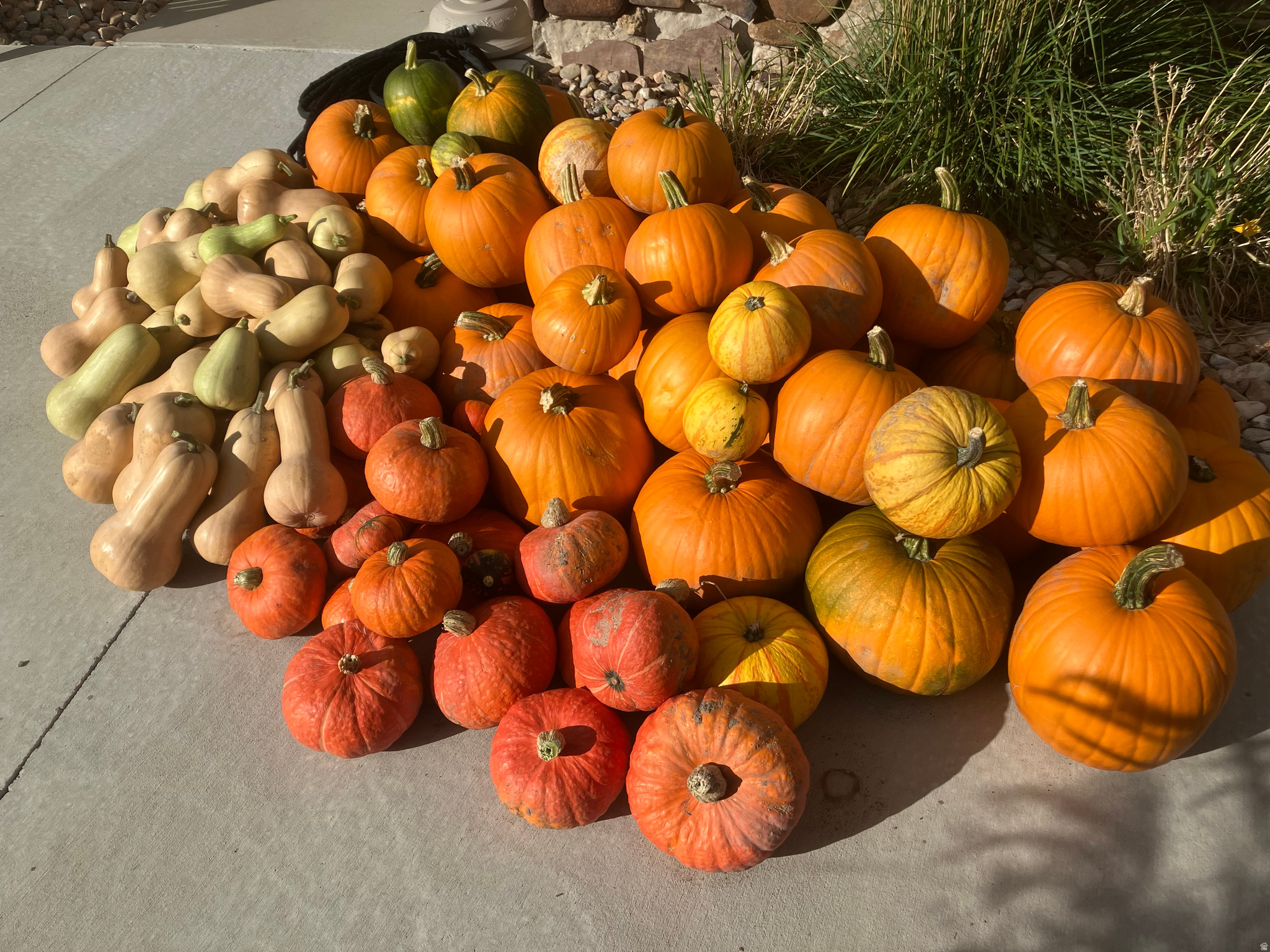 CHARLESTON PLACE - Residential