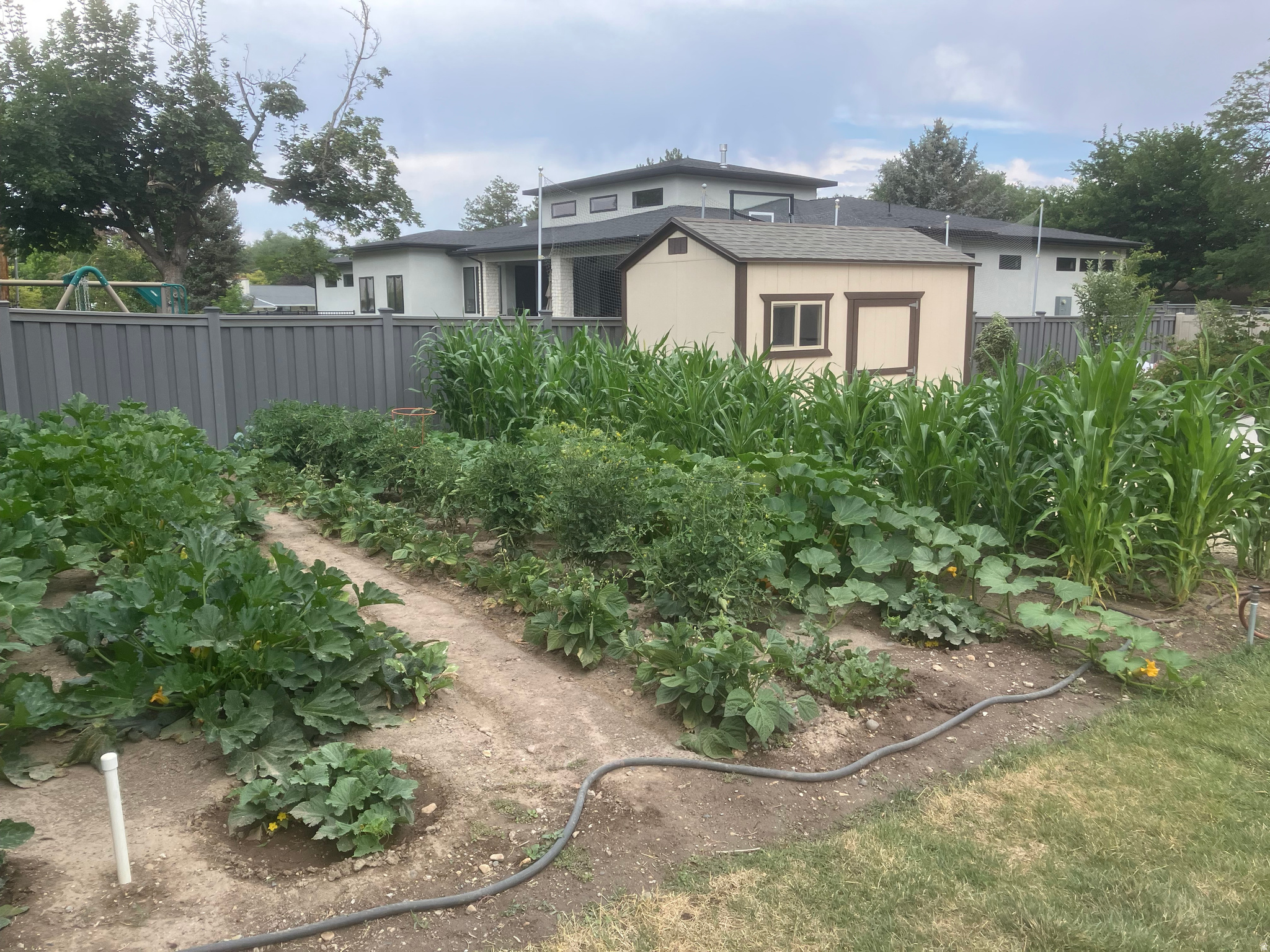 CHARLESTON PLACE - Residential