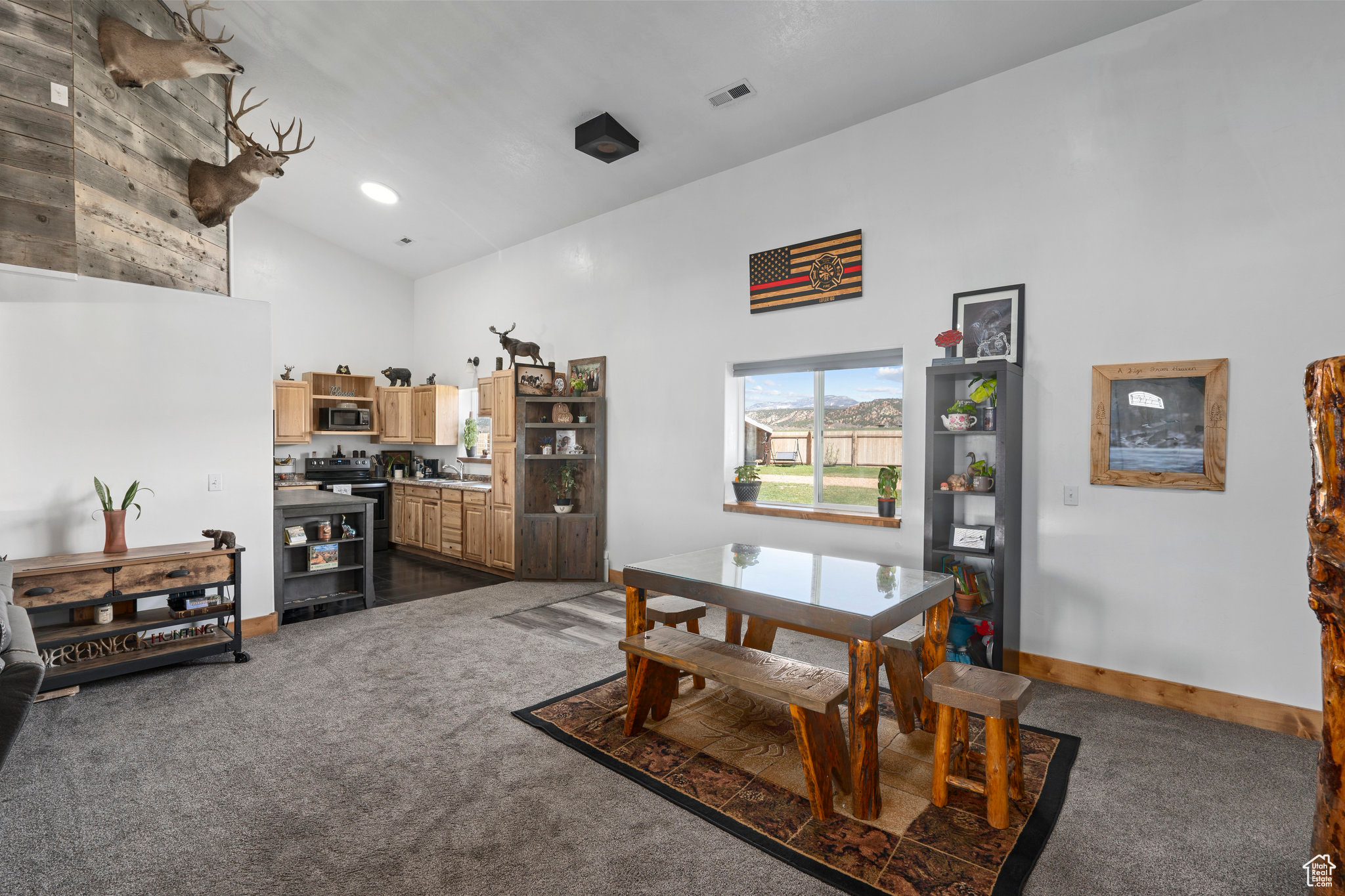 4457 Tabby Ln, Tabiona, Utah image 13