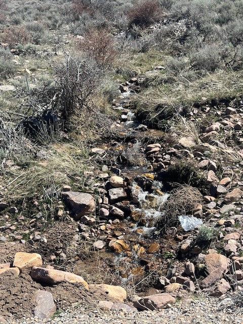 MAPLE CREEK RANCHES  PHASE 4 - Land