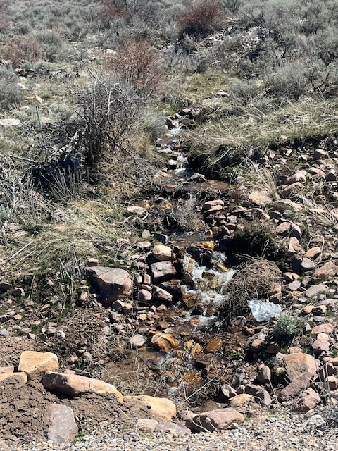 MAPLE CREEK RANCHES  PHASE 4 - Land