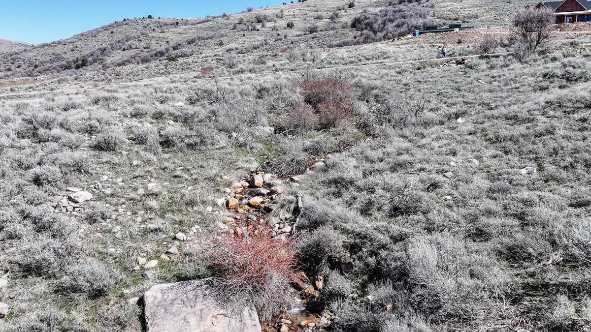 MAPLE CREEK RANCHES  PHASE 4 - Land