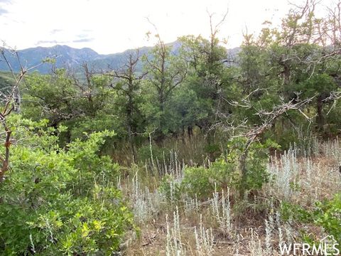 Tiny photo for 8 N SPRING MOUNTAIN DR #8, Springville, UT 84663 (MLS # 2097082)
