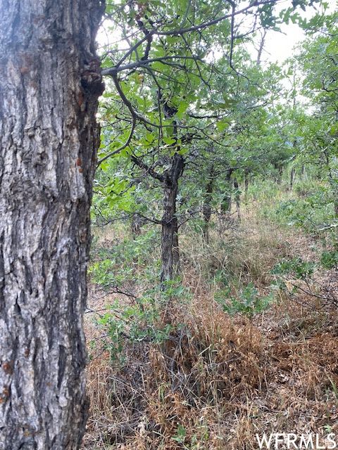 Tiny photo for 8 N SPRING MOUNTAIN DR #8, Springville, UT 84663 (MLS # 2097082)