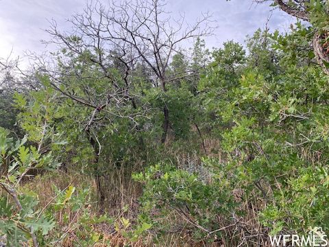 Tiny photo for 8 N SPRING MOUNTAIN DR #8, Springville, UT 84663 (MLS # 2097082)