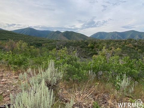Tiny photo for 8 N SPRING MOUNTAIN DR #8, Springville, UT 84663 (MLS # 2097082)