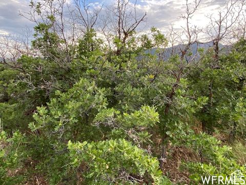 Tiny photo for 8 N SPRING MOUNTAIN DR #8, Springville, UT 84663 (MLS # 2097082)