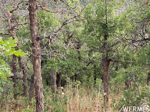 Tiny photo for 8 N SPRING MOUNTAIN DR #8, Springville, UT 84663 (MLS # 2097082)