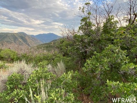 Tiny photo for 8 N SPRING MOUNTAIN DR #8, Springville, UT 84663 (MLS # 2097082)
