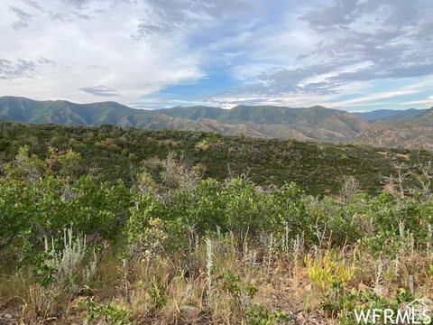 Tiny photo for 8 N SPRING MOUNTAIN DR #8, Springville, UT 84663 (MLS # 2097082)