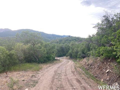 Tiny photo for 8 N SPRING MOUNTAIN DR #8, Springville, UT 84663 (MLS # 2097082)
