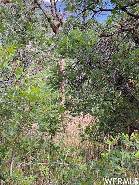 Tiny photo for 8 N SPRING MOUNTAIN DR #8, Springville, UT 84663 (MLS # 2097082)