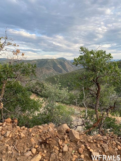 Tiny photo for 8 N SPRING MOUNTAIN DR #8, Springville, UT 84663 (MLS # 2097082)
