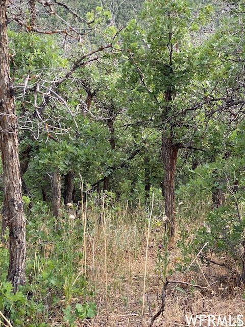 Tiny photo for 8 N SPRING MOUNTAIN DR #8, Springville, UT 84663 (MLS # 2097082)