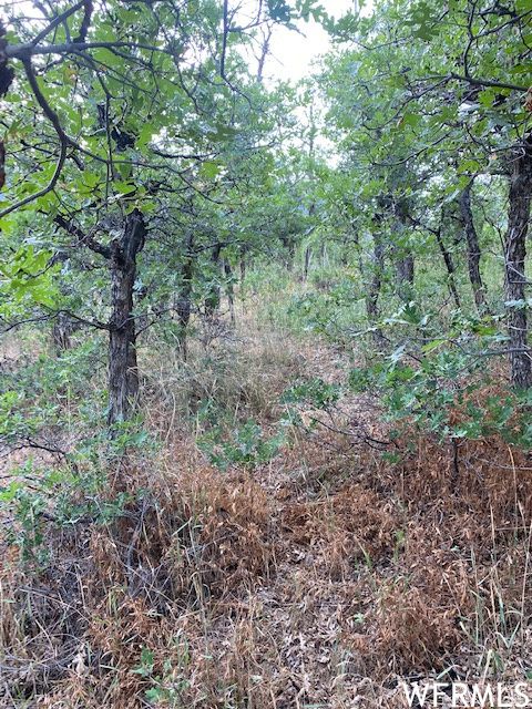Tiny photo for 8 N SPRING MOUNTAIN DR #8, Springville, UT 84663 (MLS # 2097082)