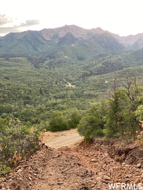Tiny photo for 8 N SPRING MOUNTAIN DR #8, Springville, UT 84663 (MLS # 2097082)