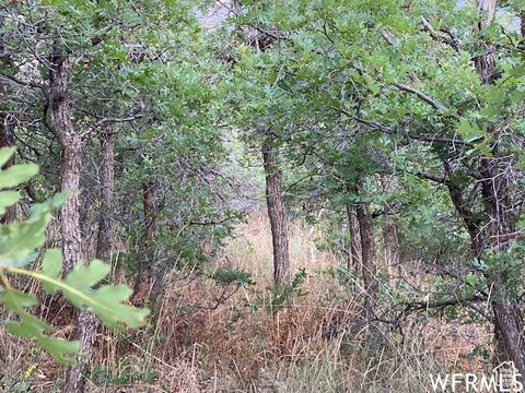 Tiny photo for 8 N SPRING MOUNTAIN DR #8, Springville, UT 84663 (MLS # 2097082)