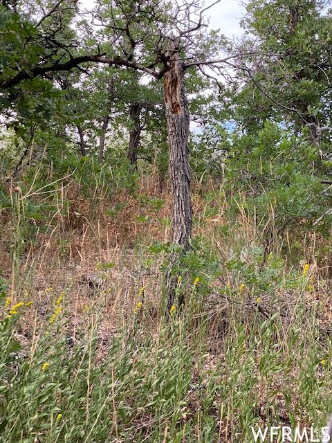 Tiny photo for 8 N SPRING MOUNTAIN DR #8, Springville, UT 84663 (MLS # 2097082)