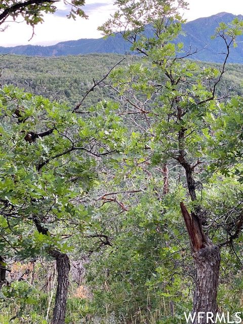 Tiny photo for 8 N SPRING MOUNTAIN DR #8, Springville, UT 84663 (MLS # 2097082)