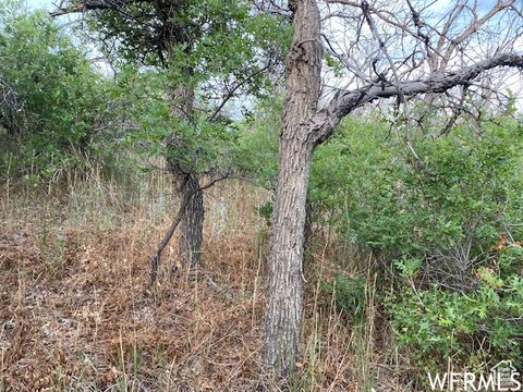 Tiny photo for 8 N SPRING MOUNTAIN DR #8, Springville, UT 84663 (MLS # 2097082)