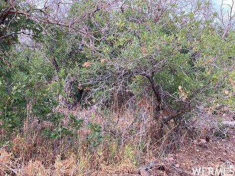 Tiny photo for 8 N SPRING MOUNTAIN DR #8, Springville, UT 84663 (MLS # 2097082)