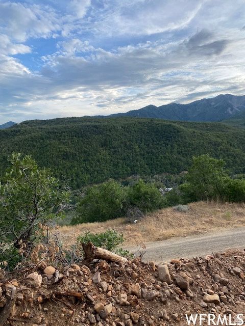 Tiny photo for 8 N SPRING MOUNTAIN DR #8, Springville, UT 84663 (MLS # 2097082)