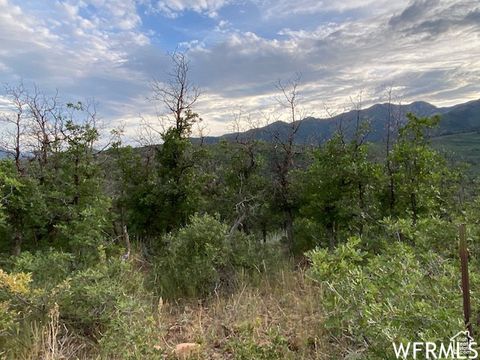 Tiny photo for 8 N SPRING MOUNTAIN DR #8, Springville, UT 84663 (MLS # 2097082)