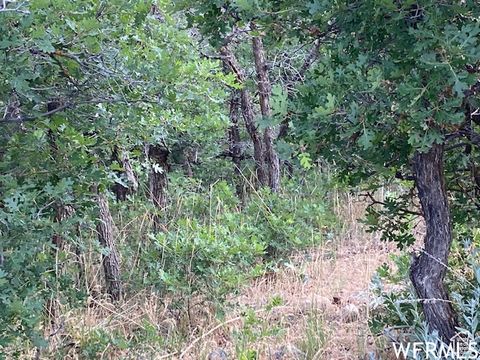 Tiny photo for 8 N SPRING MOUNTAIN DR #8, Springville, UT 84663 (MLS # 2097082)