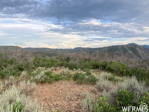 Tiny photo for 8 N SPRING MOUNTAIN DR #8, Springville, UT 84663 (MLS # 2097082)