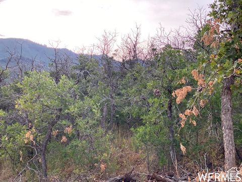 Tiny photo for 8 N SPRING MOUNTAIN DR #8, Springville, UT 84663 (MLS # 2097082)