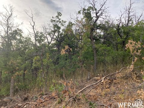 Tiny photo for 8 N SPRING MOUNTAIN DR #8, Springville, UT 84663 (MLS # 2097082)