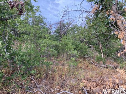 Tiny photo for 8 N SPRING MOUNTAIN DR #8, Springville, UT 84663 (MLS # 2097082)