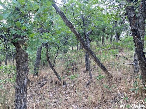 Tiny photo for 8 N SPRING MOUNTAIN DR #8, Springville, UT 84663 (MLS # 2097082)