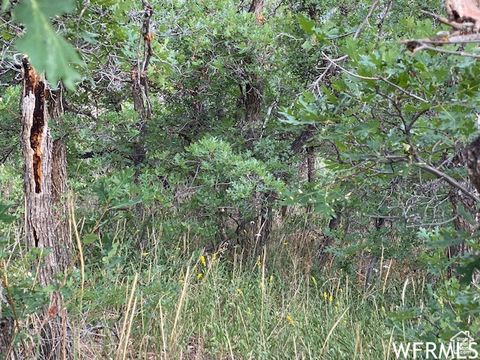 Tiny photo for 8 N SPRING MOUNTAIN DR #8, Springville, UT 84663 (MLS # 2097082)