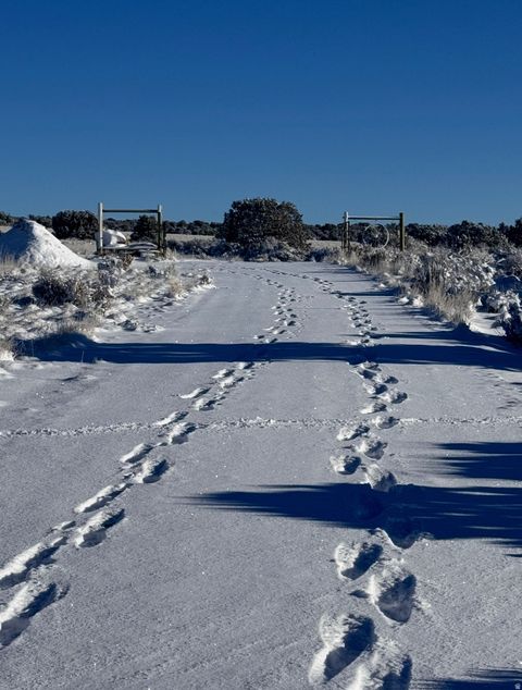 Tiny photo for 389 N OLD SUMMIT RD #19, Monticello, UT 84535 (MLS # 2140181)