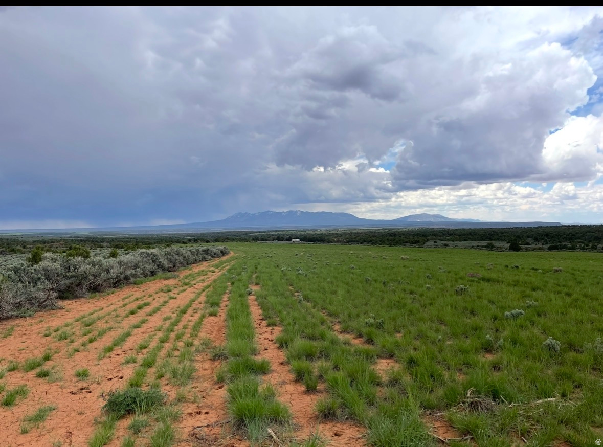 SUNRISE COUNTRY - Land