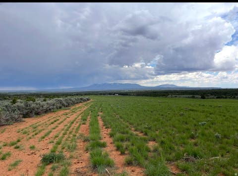 Tiny photo for 389 N OLD SUMMIT RD #19, Monticello, UT 84535 (MLS # 2140181)