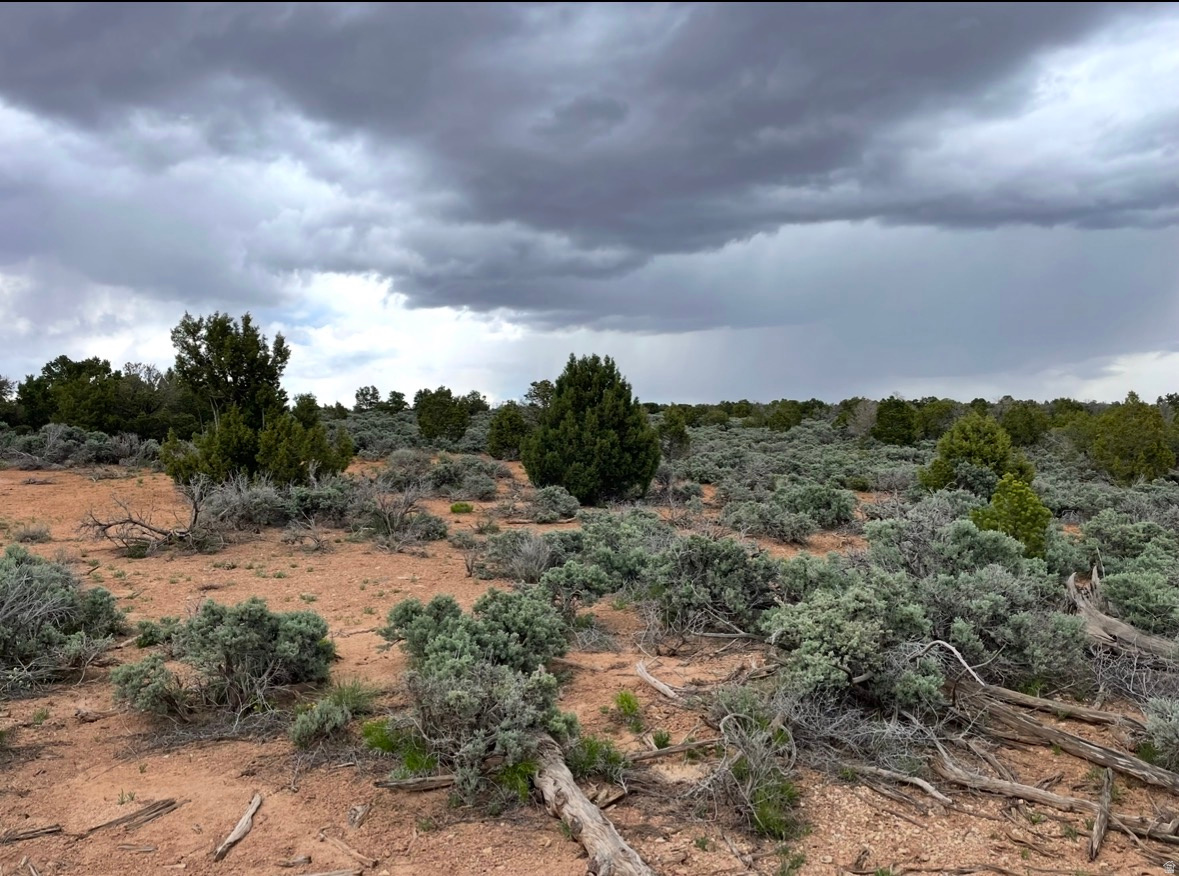 SUNRISE COUNTRY - Land