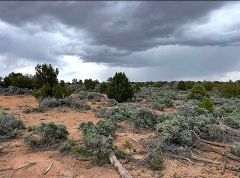 Tiny photo for 389 N OLD SUMMIT RD #19, Monticello, UT 84535 (MLS # 2140181)