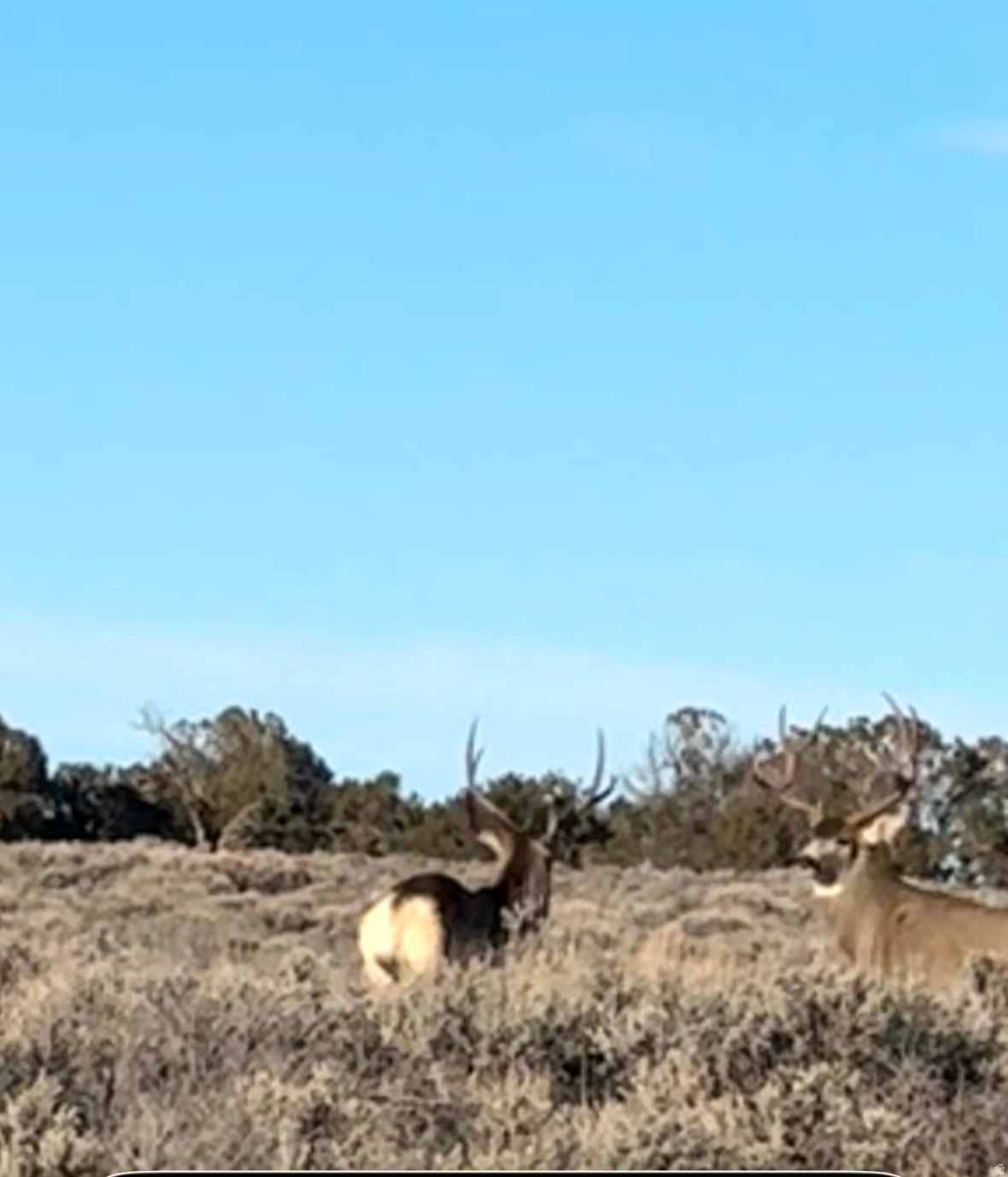 SUNRISE COUNTRY - Land