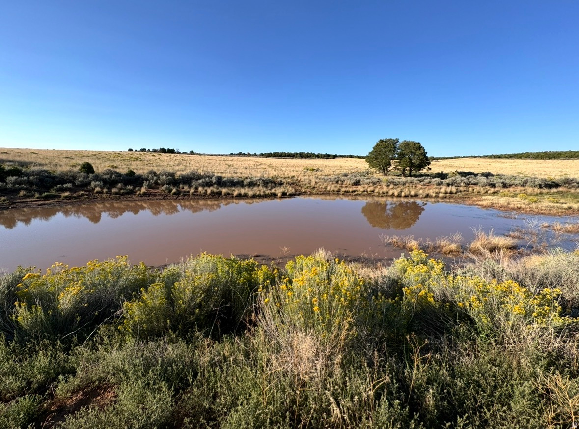 SUNRISE COUNTRY - Land