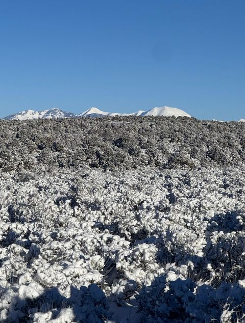 Tiny photo for 389 N OLD SUMMIT RD #19, Monticello, UT 84535 (MLS # 2140181)