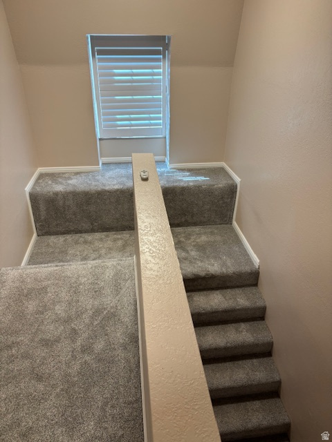 WILLIAMSBURG PARK - Residential