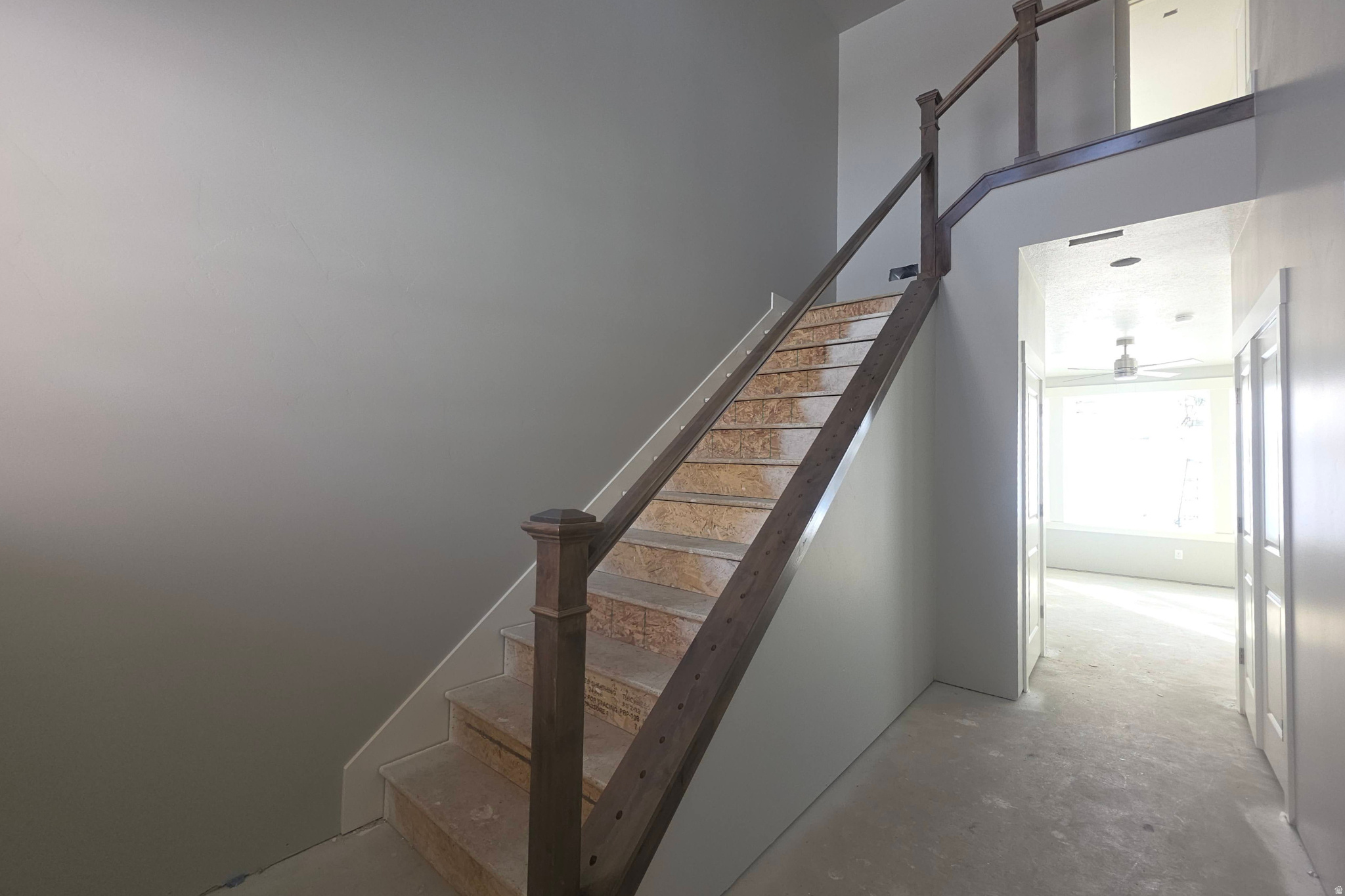 CARDAMINE - Residential