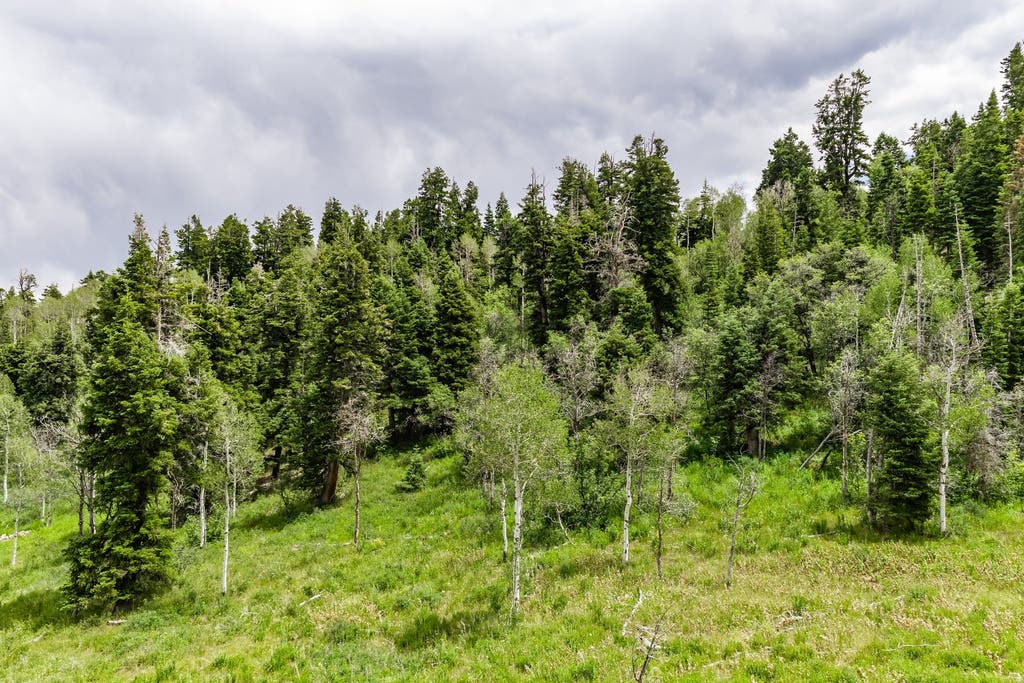 Photo of 2241 S FOREST MEADOW RD #158, Coalville, UT 84017 (MLS # 2174533)