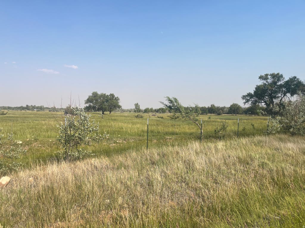 Photo of 5000 N, Roosevelt, UT 84066 (MLS # 2167387)