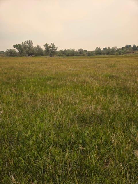 Tiny photo for 5000 N, Roosevelt, UT 84066 (MLS # 2167387)