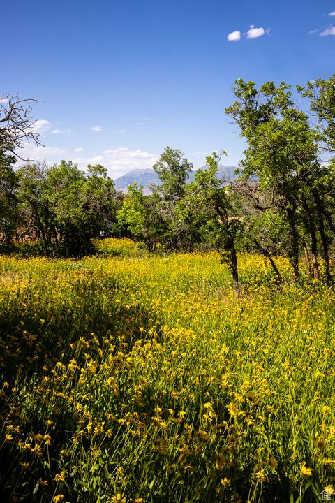 Tiny photo for 963 S SUMMIT DR #62, Woodland Hills, UT 84653 (MLS # 2091786)