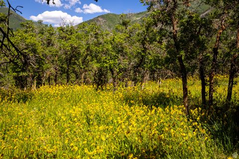 Tiny photo for 963 S SUMMIT DR #62, Woodland Hills, UT 84653 (MLS # 2091786)