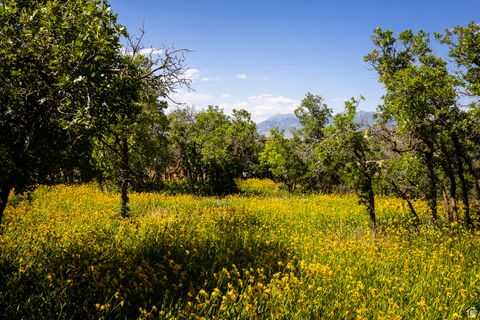 Tiny photo for 963 S SUMMIT DR #62, Woodland Hills, UT 84653 (MLS # 2091786)